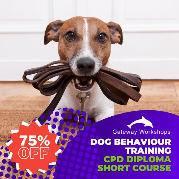 Dog Behaviour Training - CPD Short Course