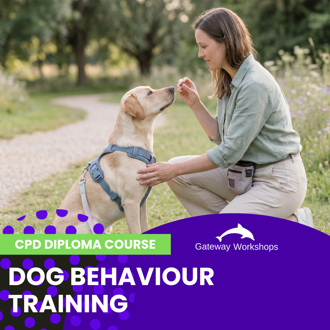 Dog Behaviour Training - CPD Diploma Short Course