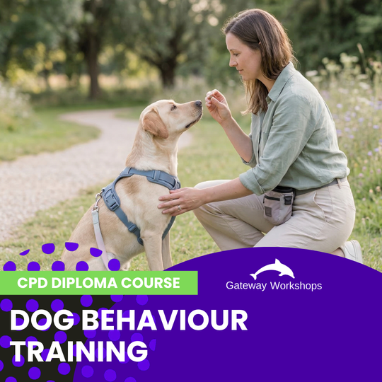 Dog Behaviour Training - CPD Diploma Short Course