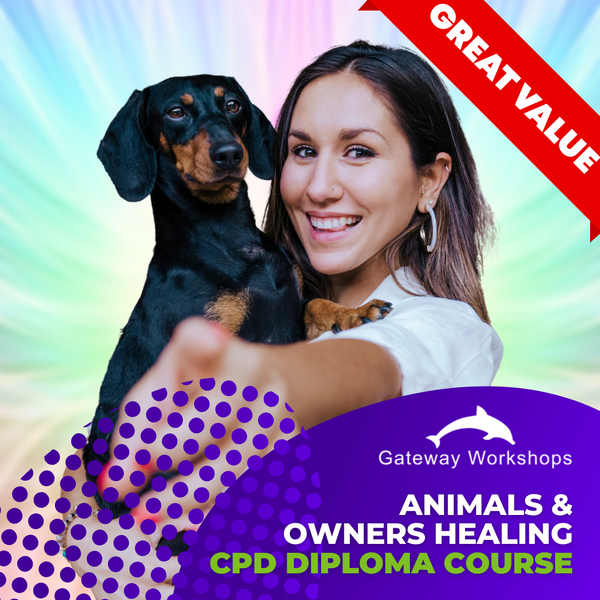 Animals and Owners Healing  - CPD Diploma Short Course