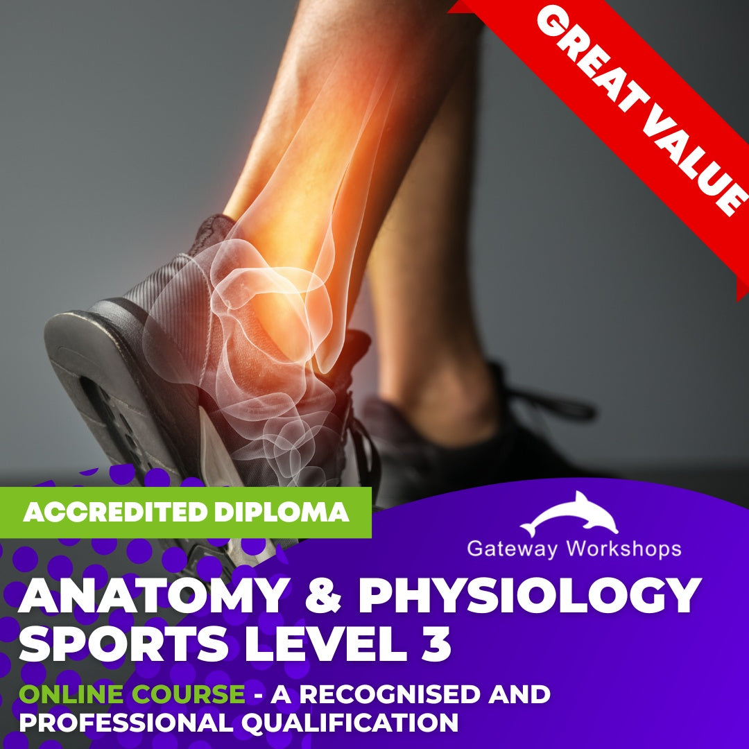 Anatomy and Physiology Sports Level 3 - Online Course