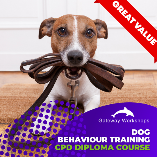 Dog Behaviour Training - CPD Diploma Short Course
