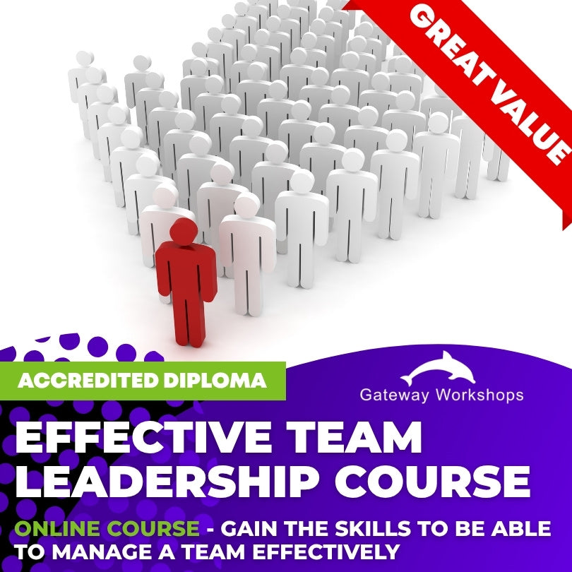 Effective Team Leadership - Online Course