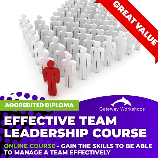 Effective Team Leadership - Online Course