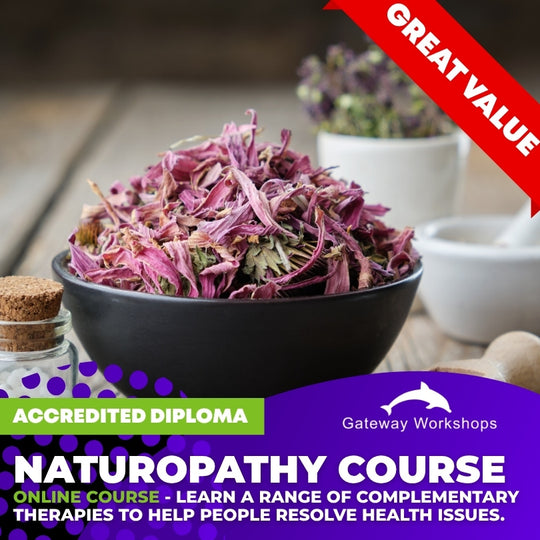 Naturopathy Accredited Practitioner Diploma - Online Course