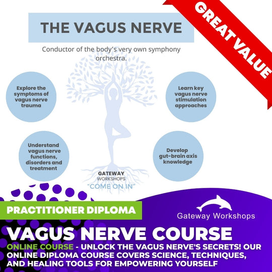 Vagus Nerve Practitioner Diploma - Online Diploma Course