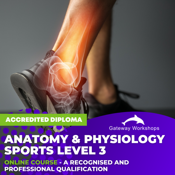 Anatomy and Physiology Sports Level 3 - Online Course
